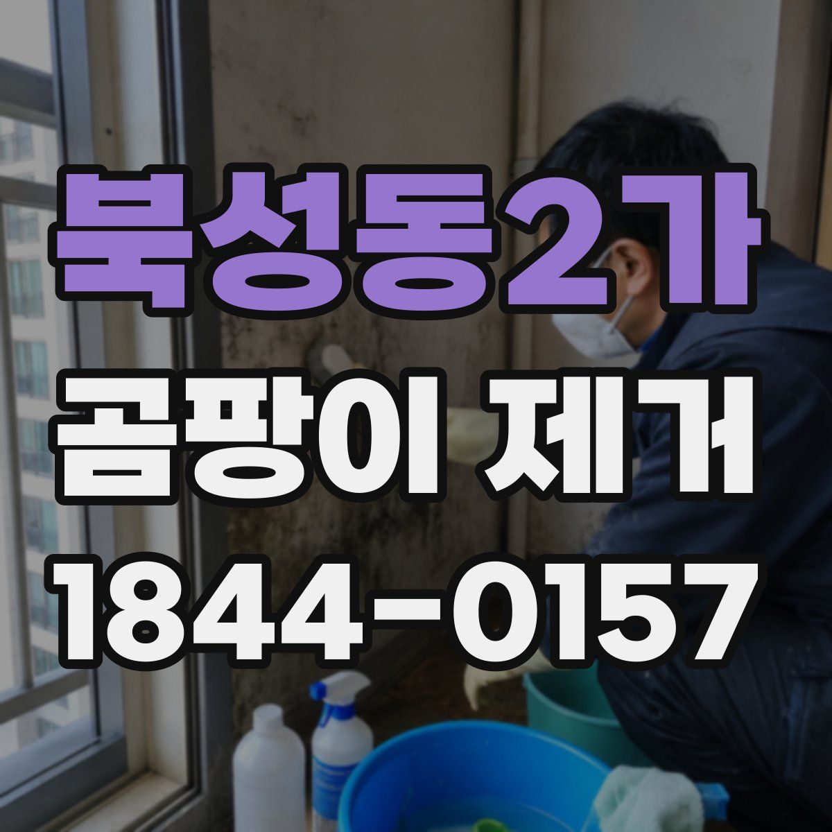 북성동2가 곰팡이 제거