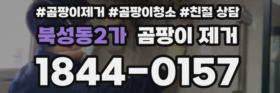 북성동2가 곰팡이 제거