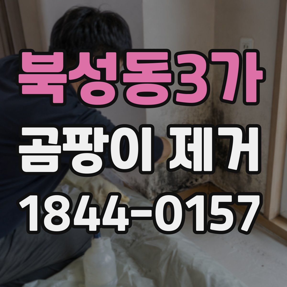북성동3가 곰팡이 제거