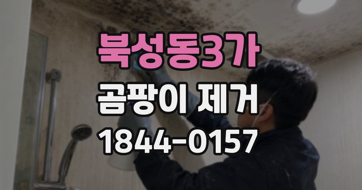 북성동3가 곰팡이 제거