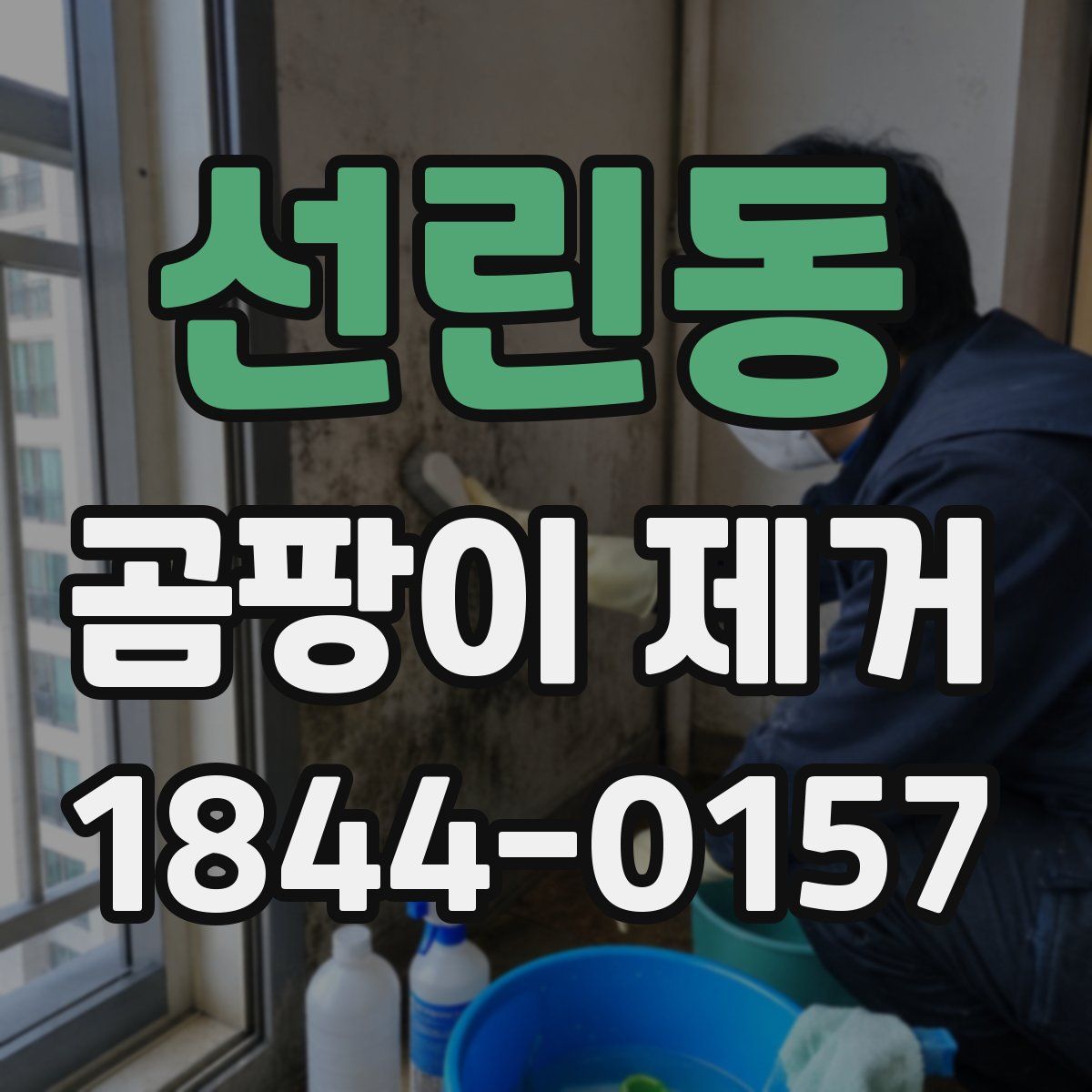 선린동 곰팡이 제거