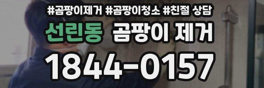 선린동 곰팡이 제거