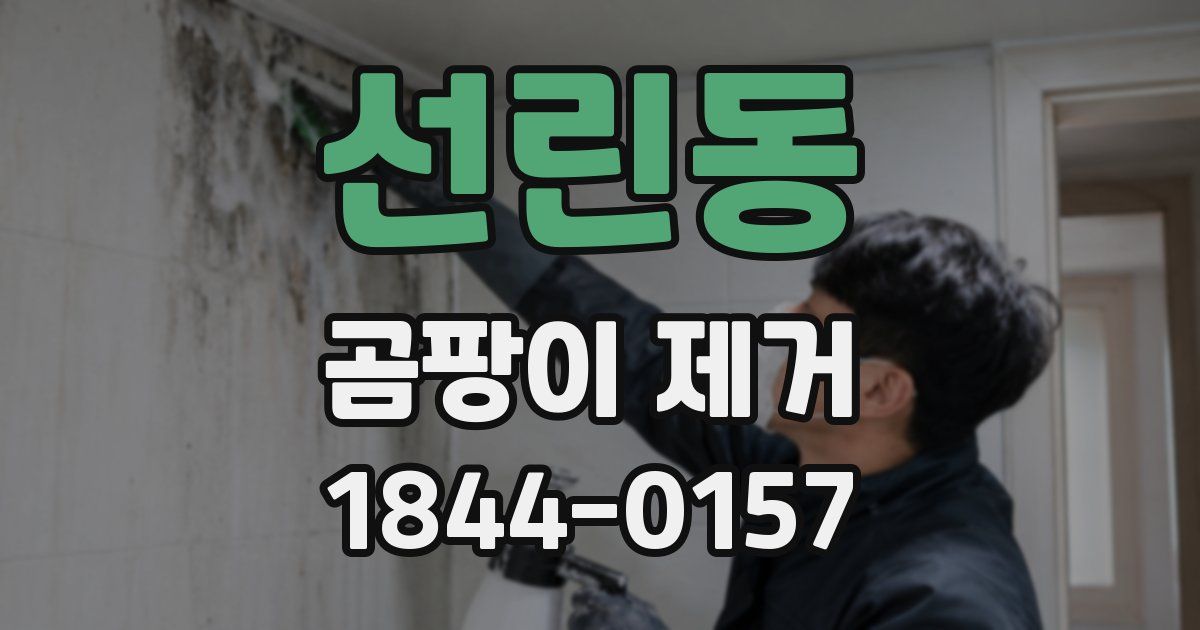 선린동 곰팡이 제거