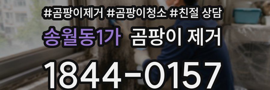 송월동1가 곰팡이 제거