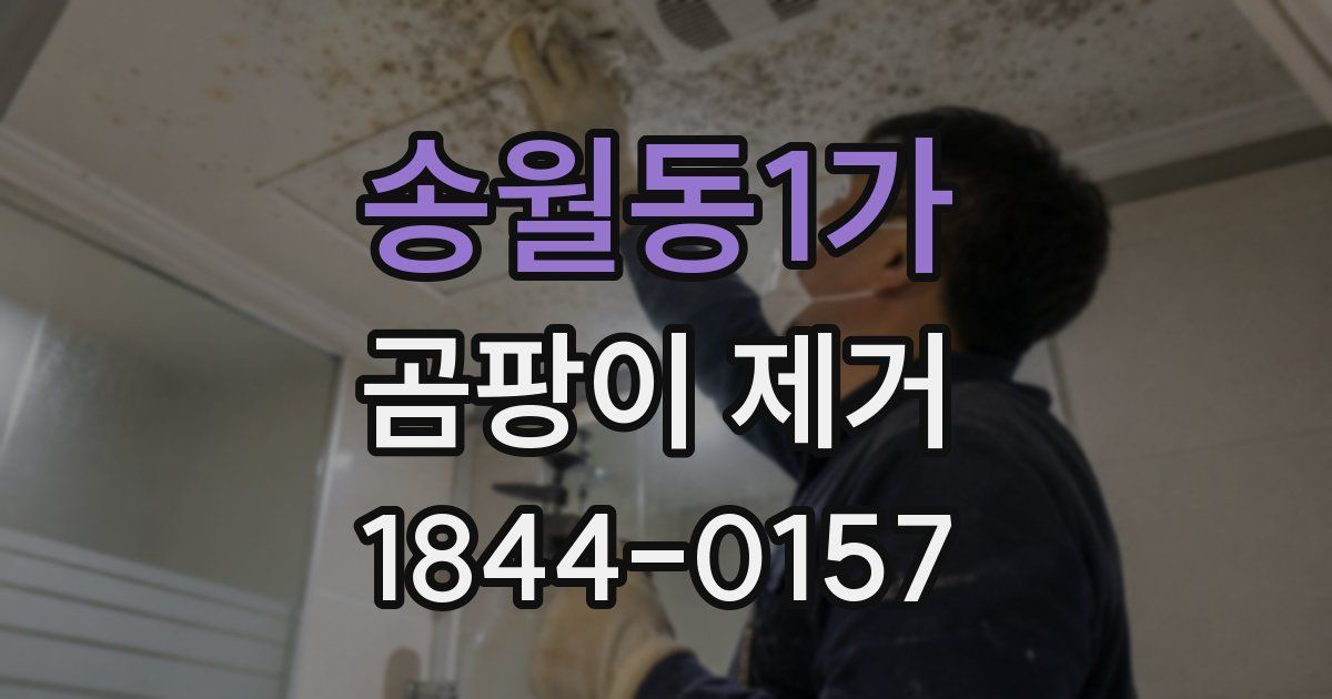 송월동1가 곰팡이 제거