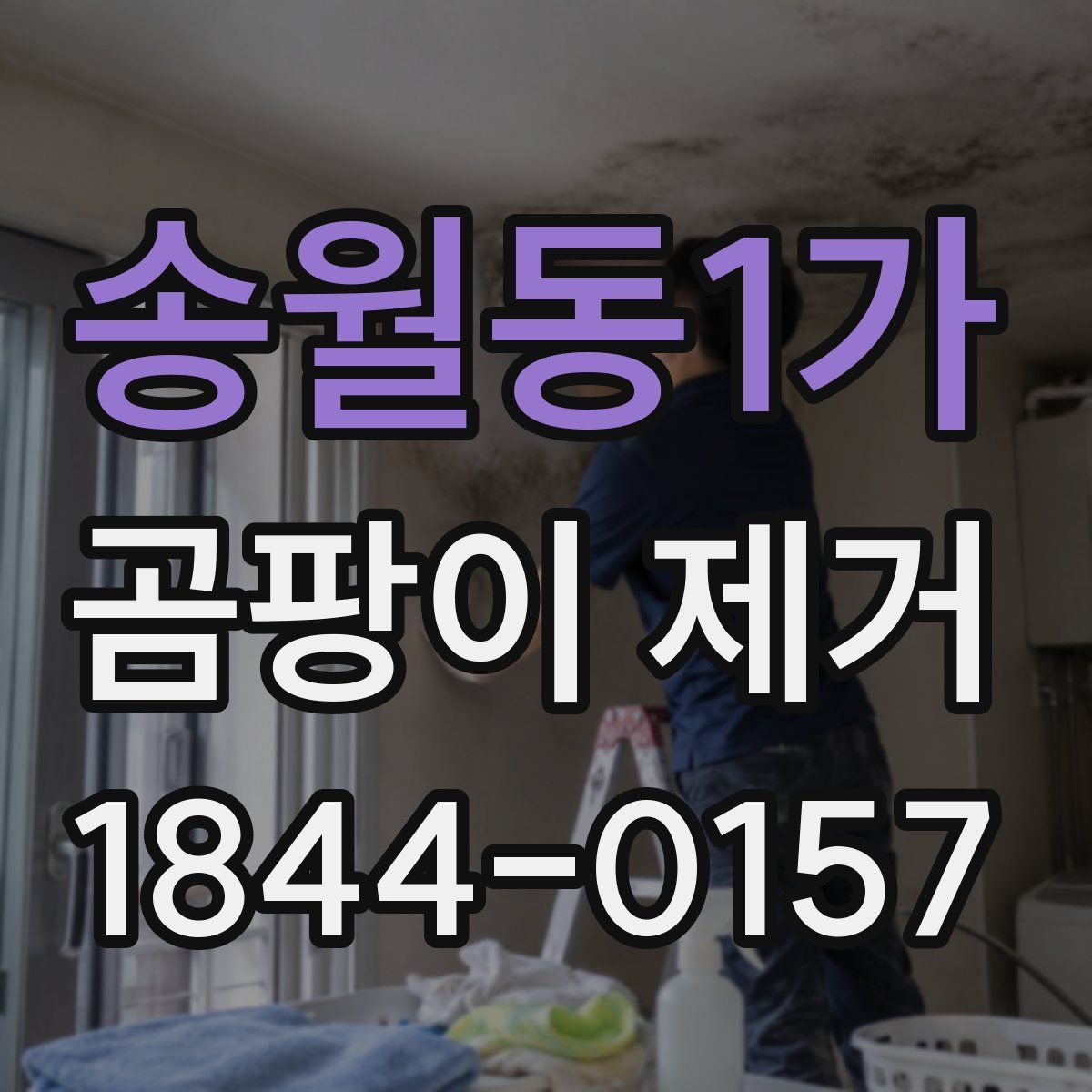 송월동1가 곰팡이 제거