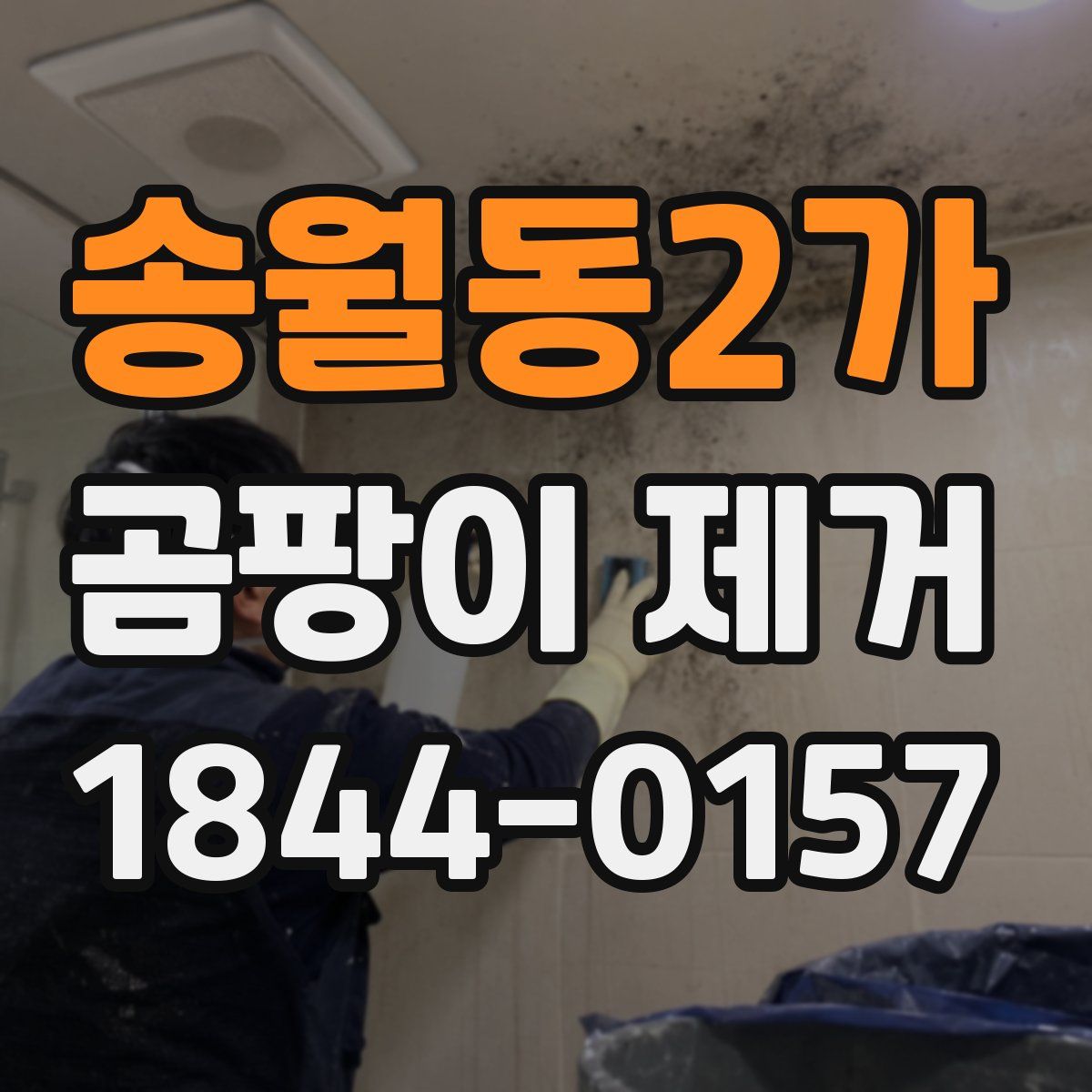 송월동2가 곰팡이 제거