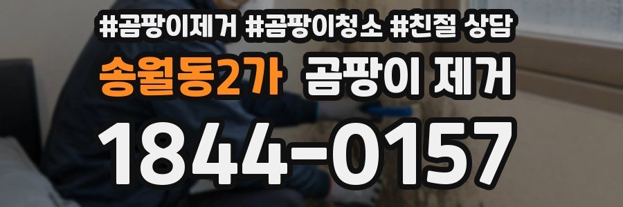 송월동2가 곰팡이 제거