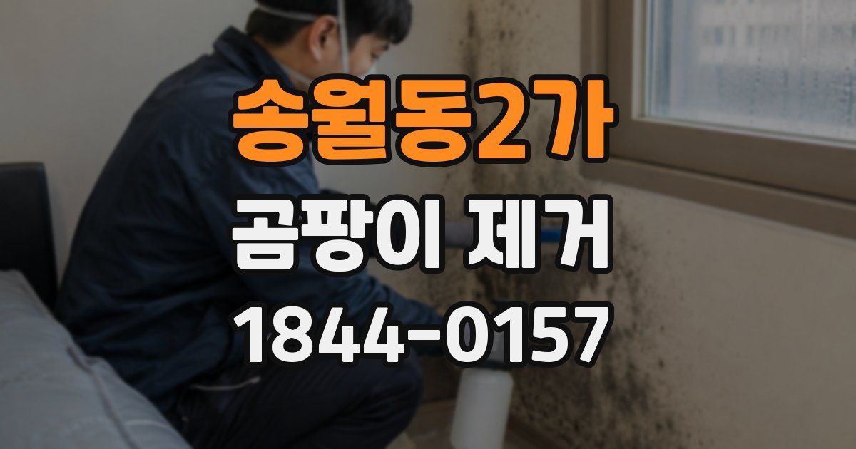 송월동2가 곰팡이 제거