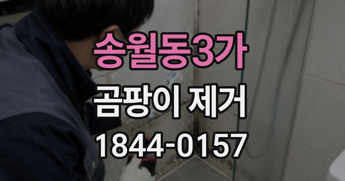 송월동3가 곰팡이 제거