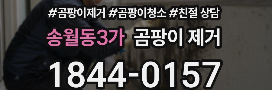 송월동3가 곰팡이 제거