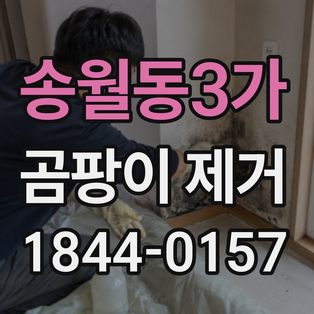 송월동3가 곰팡이 제거
