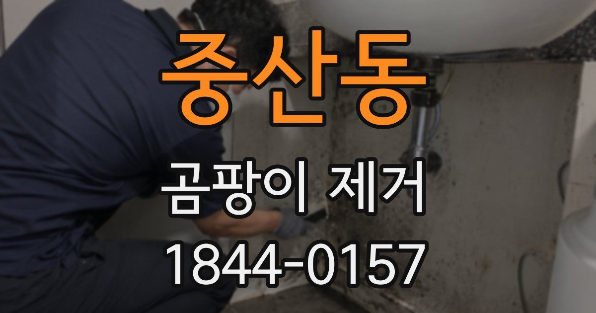 중산동 곰팡이 제거