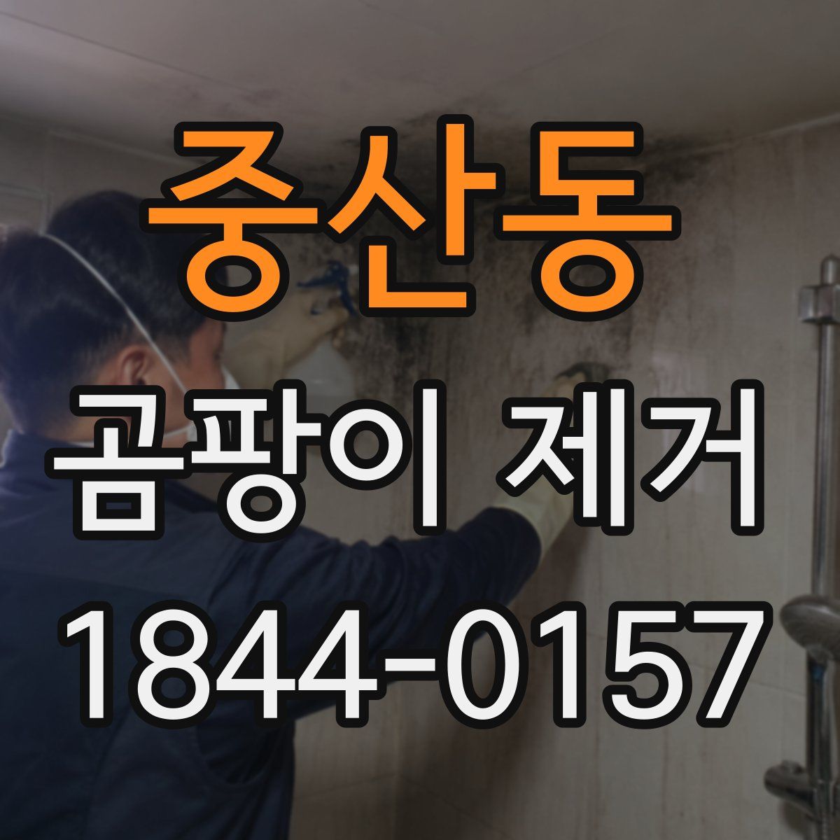 중산동 곰팡이 제거