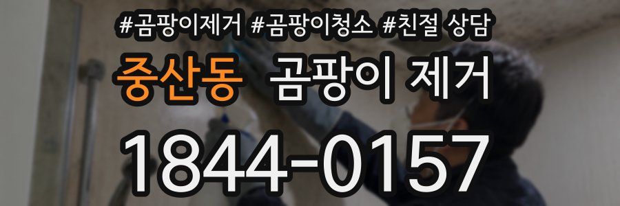 중산동 곰팡이 제거