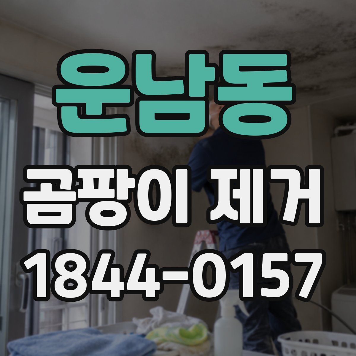운남동 곰팡이 제거