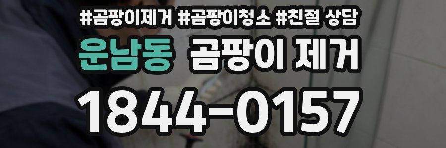 운남동 곰팡이 제거