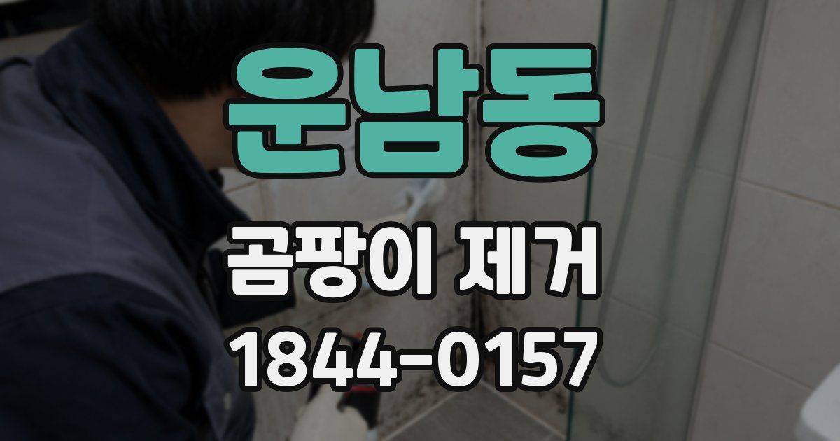운남동 곰팡이 제거