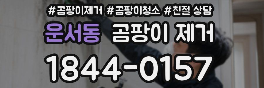 운서동 곰팡이 제거