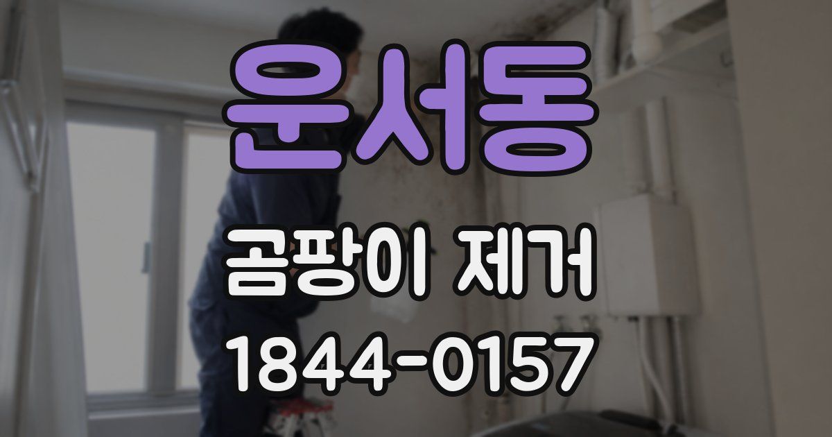 운서동 곰팡이 제거