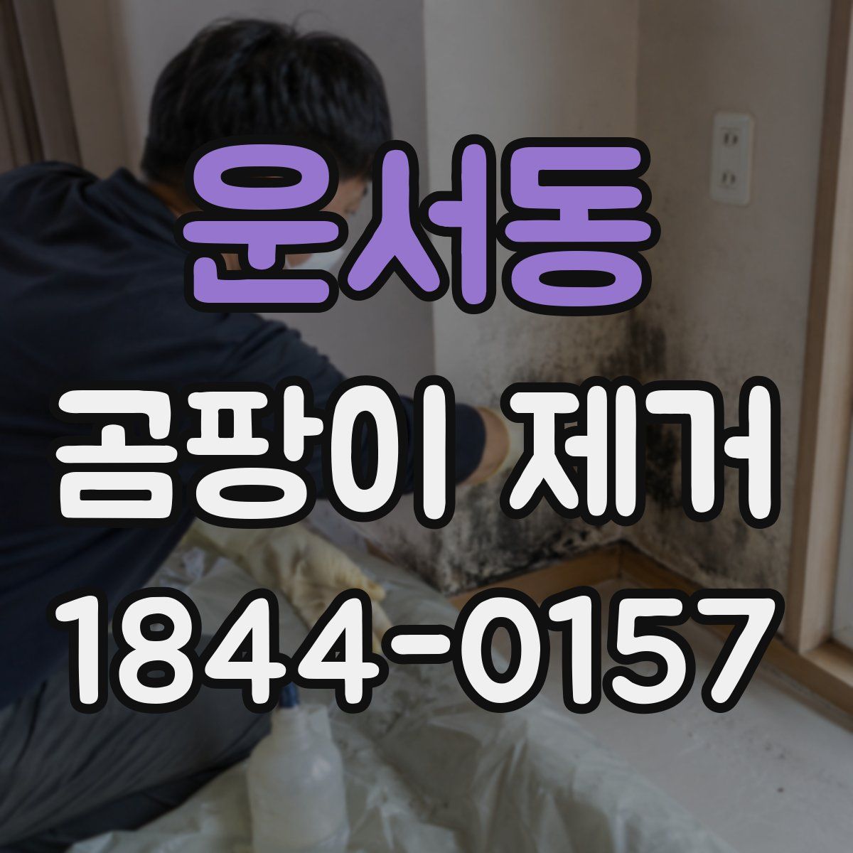 운서동 곰팡이 제거