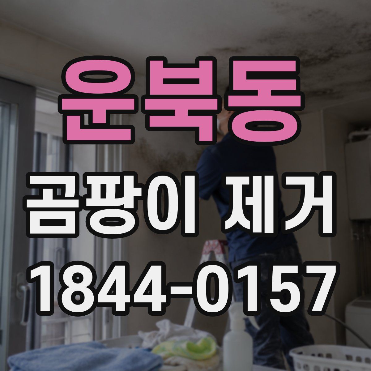 운북동 곰팡이 제거