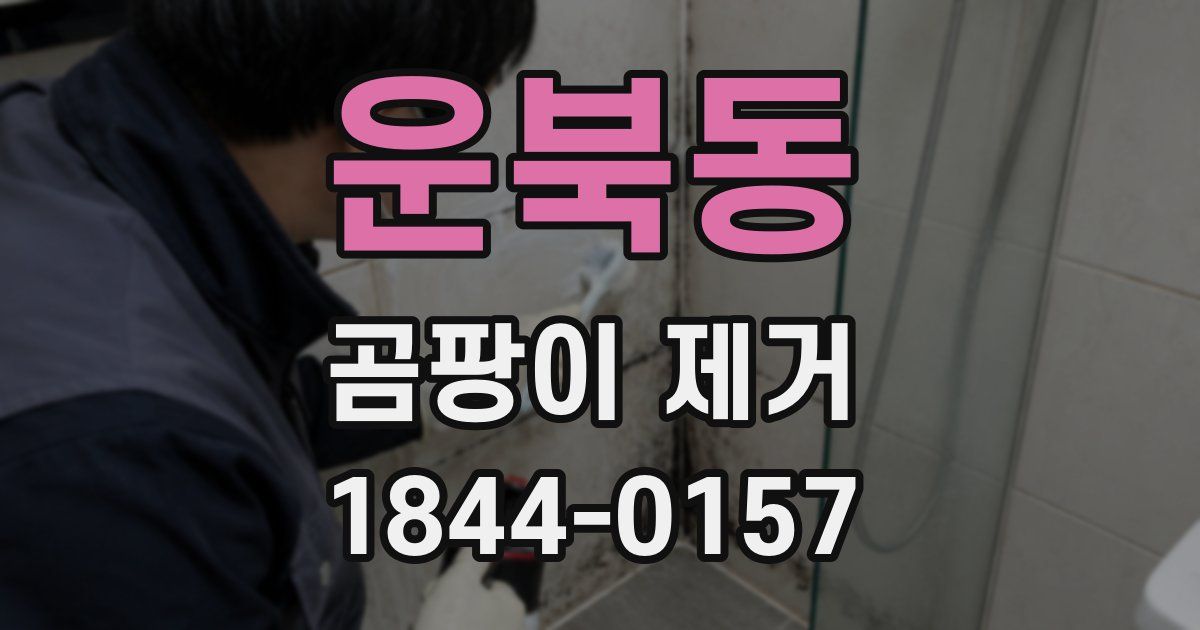 운북동 곰팡이 제거