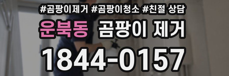 운북동 곰팡이 제거