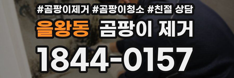 을왕동 곰팡이 제거