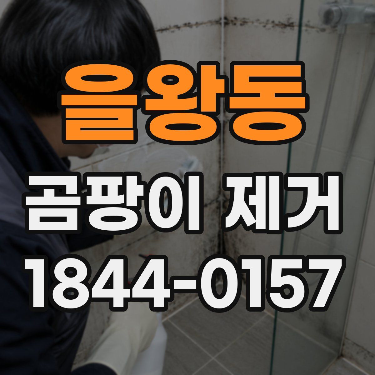 을왕동 곰팡이 제거