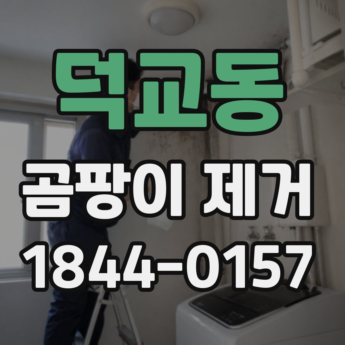 덕교동 곰팡이 제거