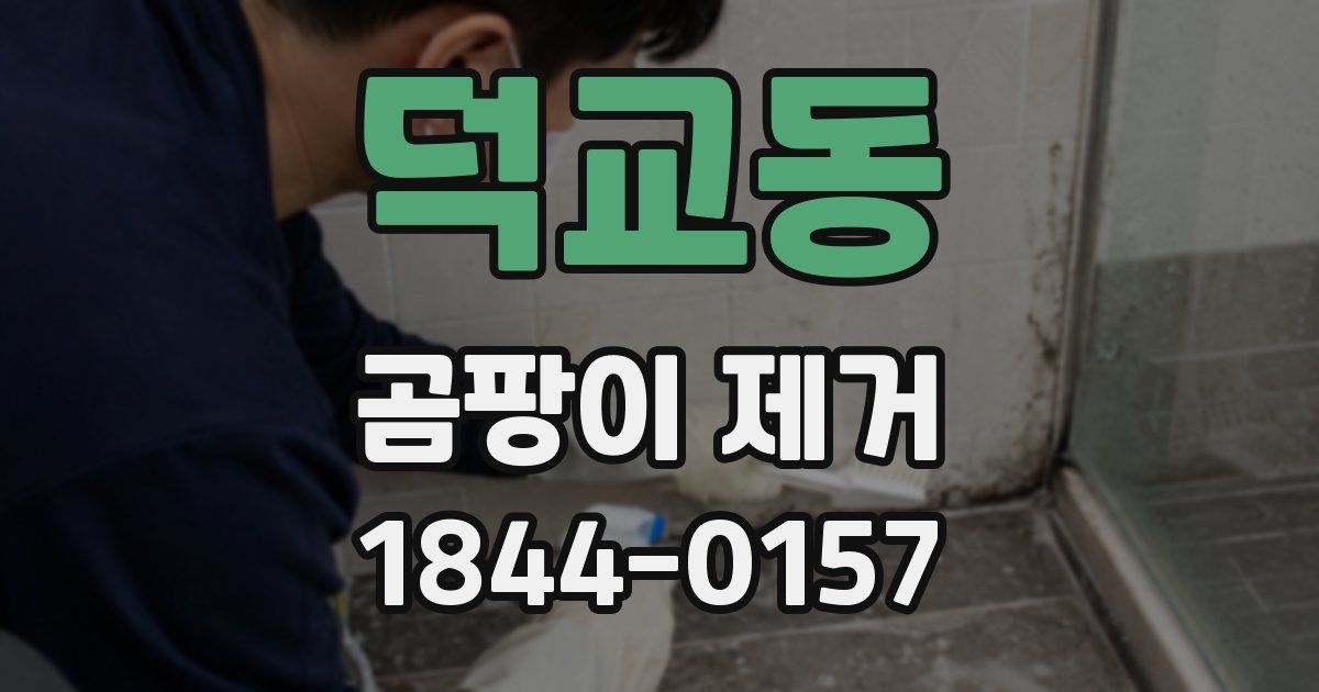 덕교동 곰팡이 제거