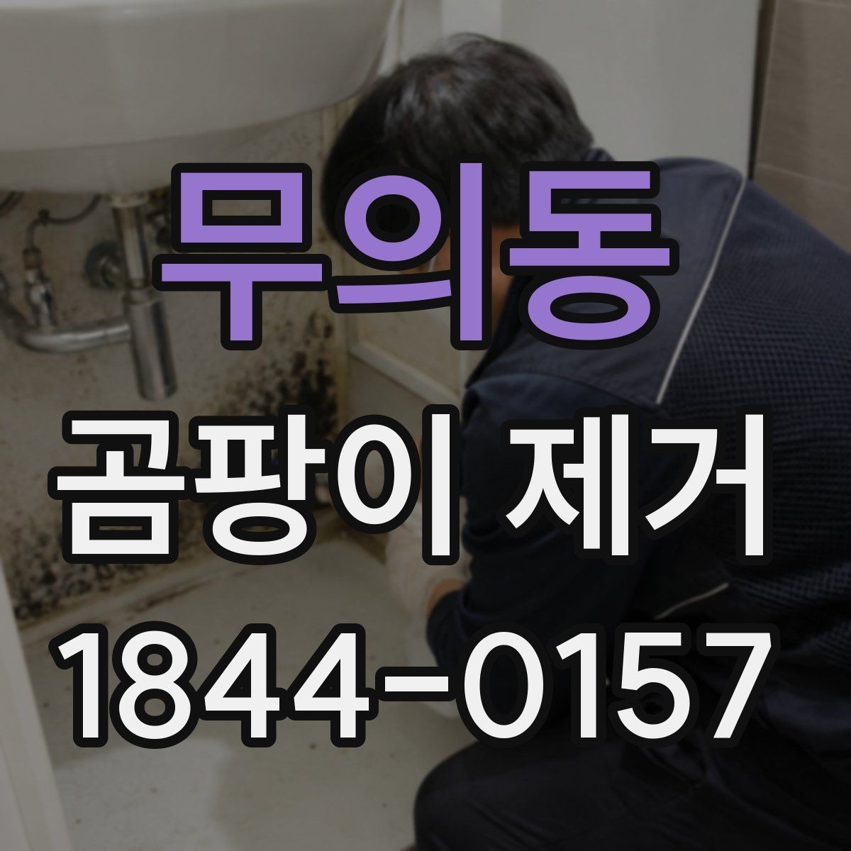 무의동 곰팡이 제거 비용과 작업 범위 살펴보기