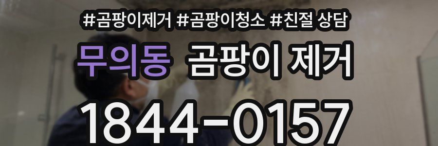 무의동 곰팡이 제거