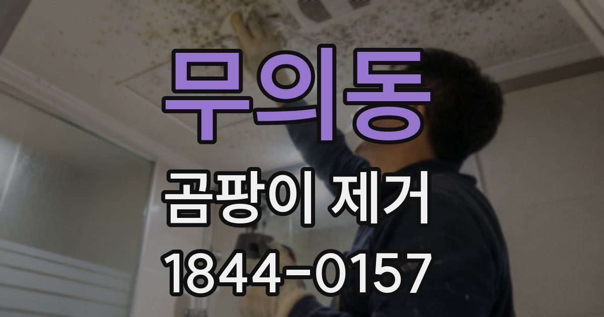 무의동 곰팡이 제거