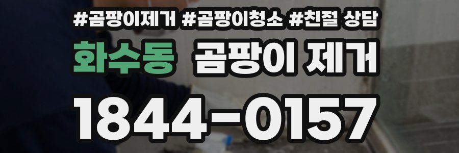 화수동 곰팡이 제거