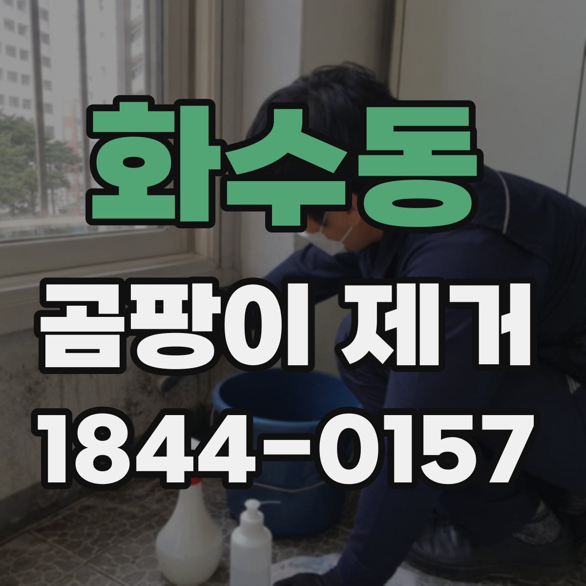 화수동 곰팡이 제거
