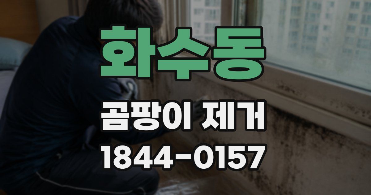 화수동 곰팡이 제거