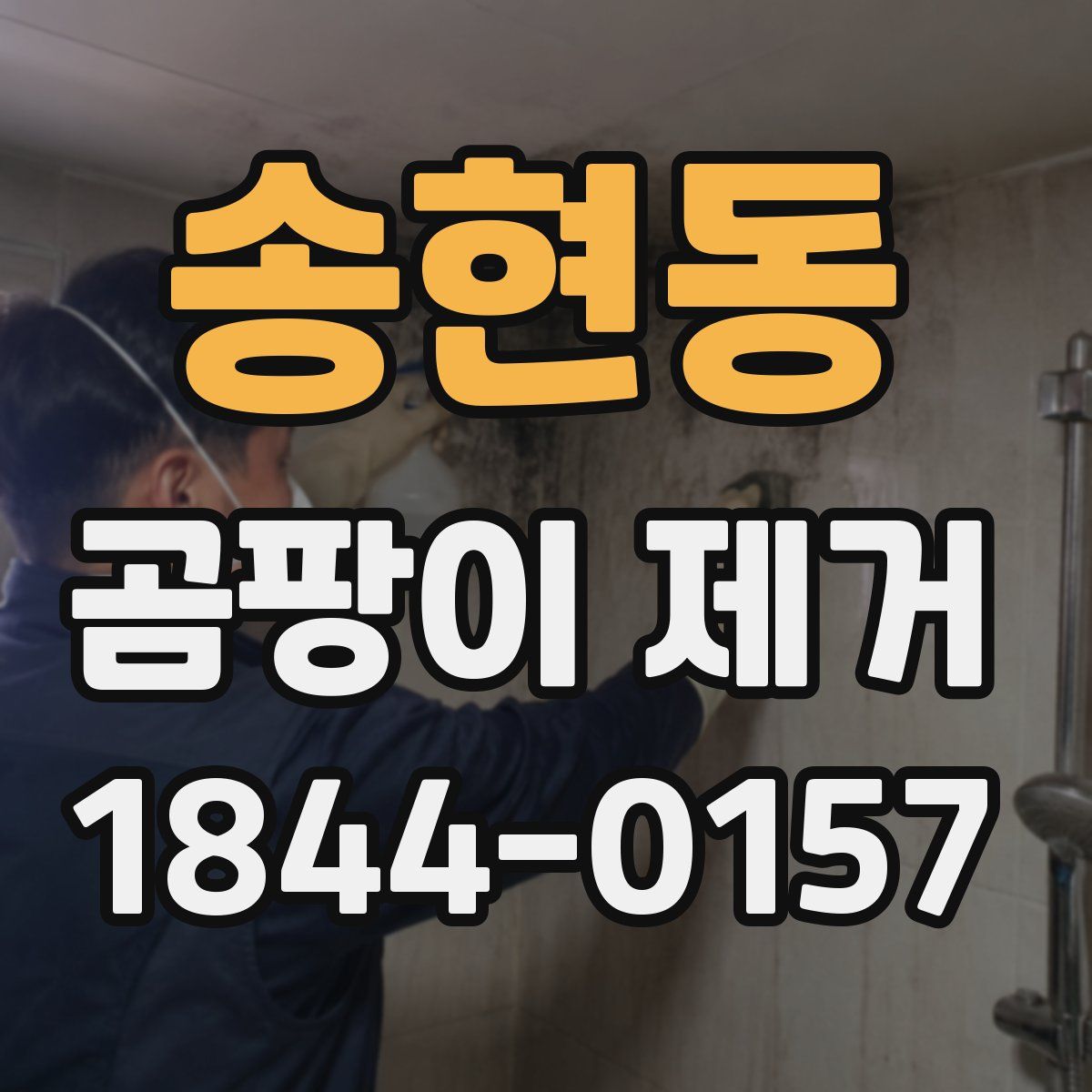 송현동 곰팡이 제거