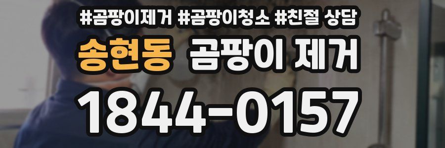 송현동 곰팡이 제거