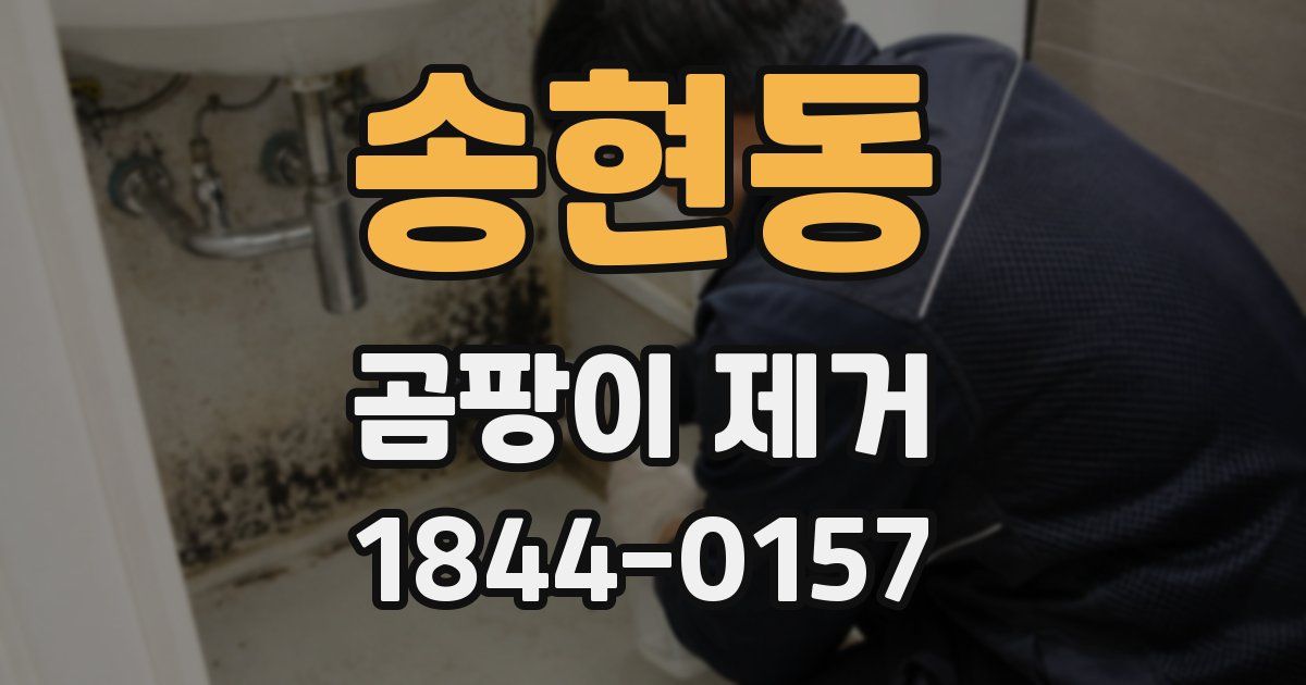 송현동 곰팡이 제거