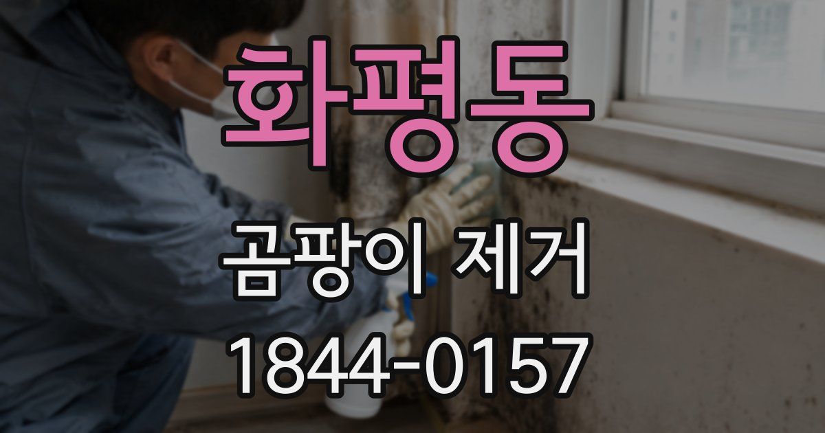 화평동 곰팡이 제거