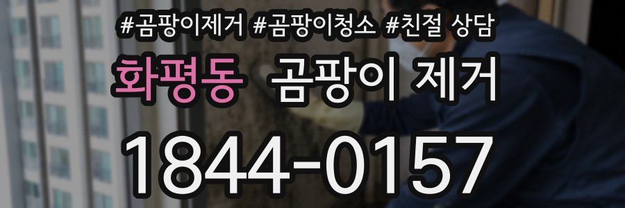 화평동 곰팡이 제거