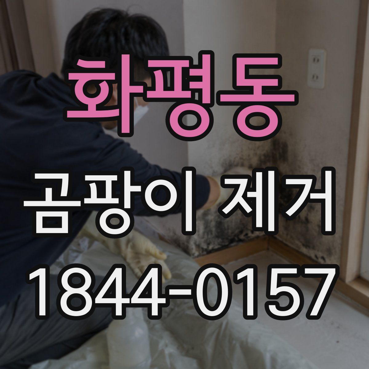 화평동 곰팡이 제거