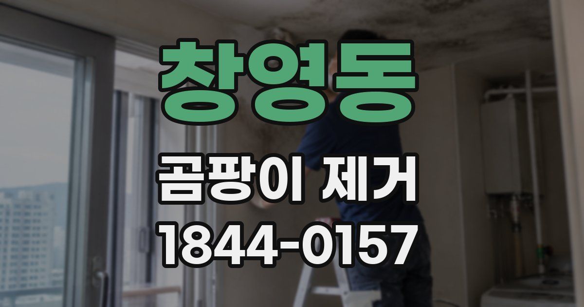 창영동 곰팡이 제거