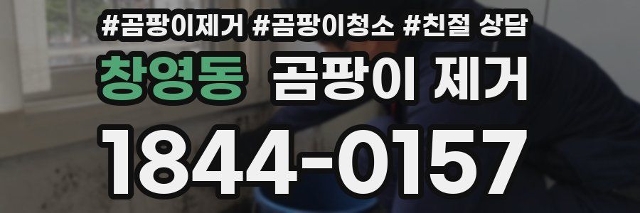 창영동 곰팡이 제거