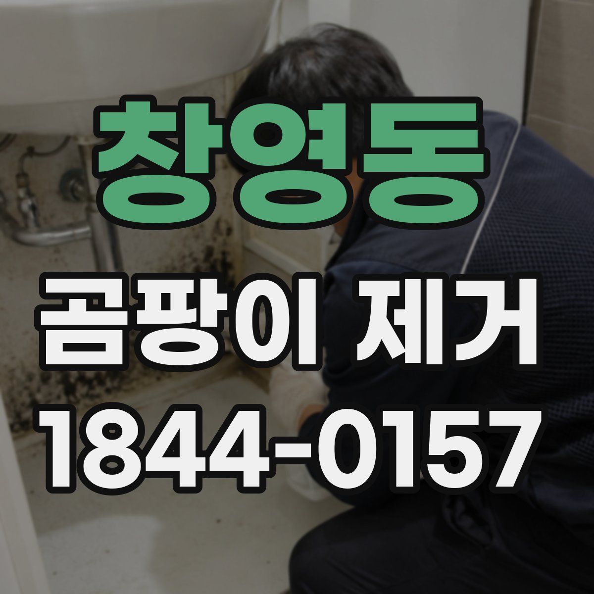 창영동 곰팡이 제거