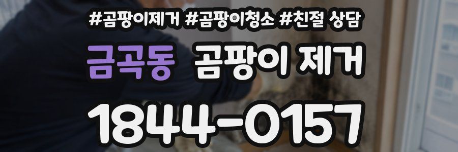 금곡동 곰팡이 제거