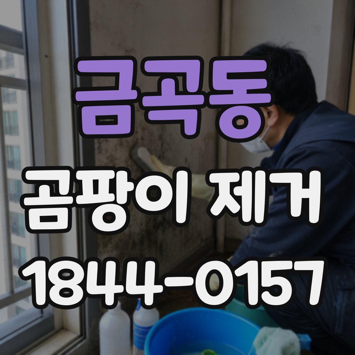 금곡동 곰팡이 제거