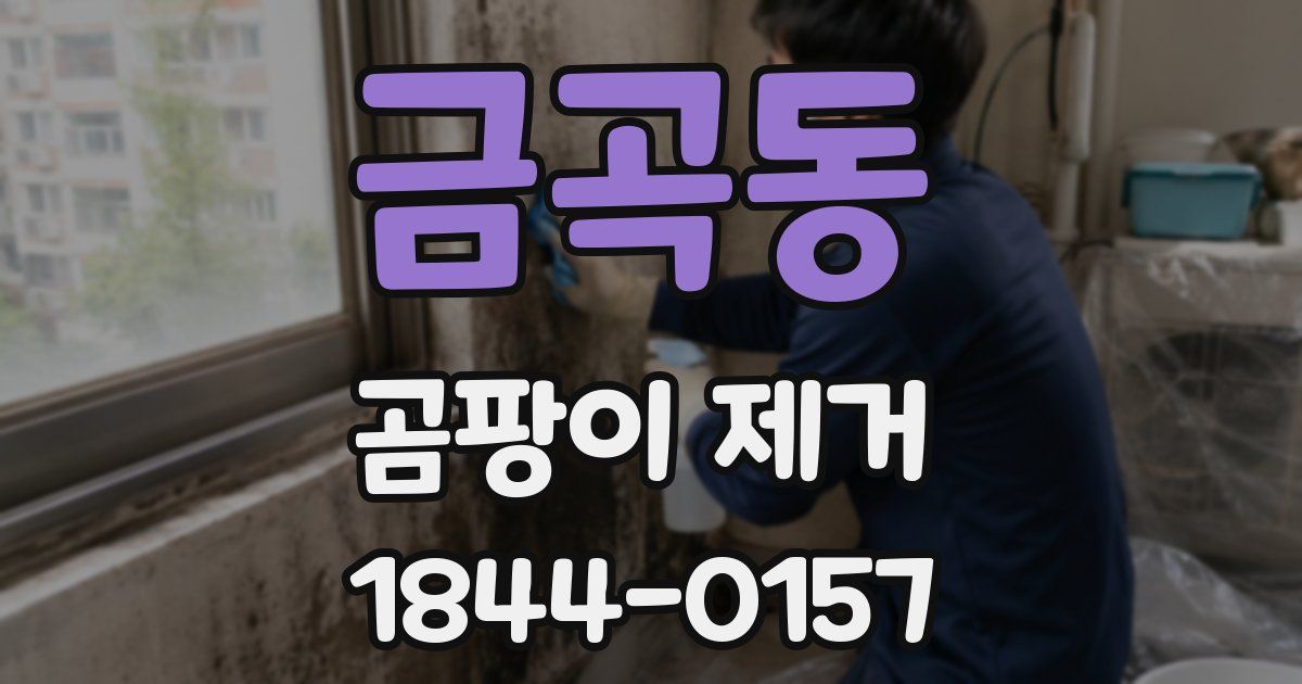 금곡동 곰팡이 제거